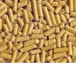 Forez Combustibles Eco image 6