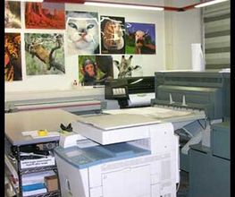 Gallery Cliente