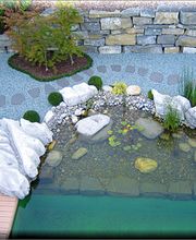 Brunner Garden AG Bild 3