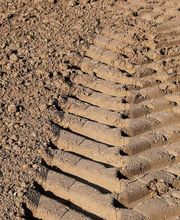 Bourcy Laurent image 2