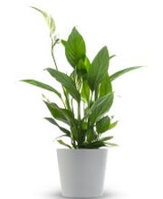 Zengler Gebäudemanagement Bild 2