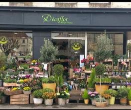 Decoflor image 1