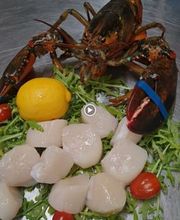 Ristorante Mio Bild 7