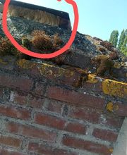 Chass'eure de Frelons anti nuisibles image 1