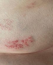 Sebastien Dragin image 16