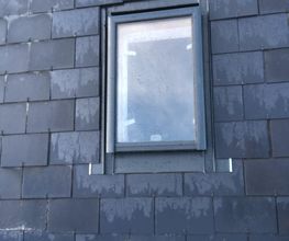 Pro Habitat image 14