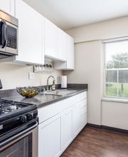 Rugby Square Apartments image 6