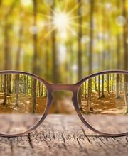 Optik-Studio Schwanstecher Bild 4