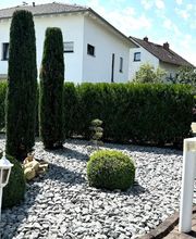 Daily Gartenpflege Bild 14