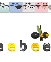 Seebee AG Sehtest Zürich Bild 5