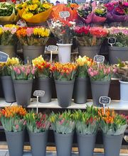 Le Plein Des Sens image 2