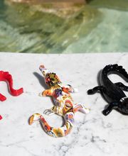 Nîmes Souvenirs image 1