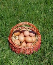 Groupement Des Fermiers D'Argoat image 3