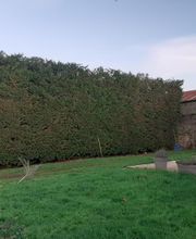 Les Touches Vertes image 1