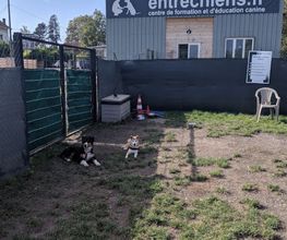 Entre Chiens image 1