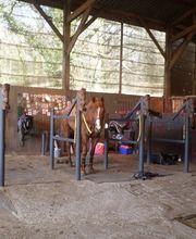 Castelin Catherine image 4