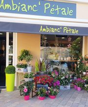 Ambianc'Pétale image 2