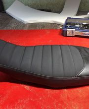 Sellerie Vigneulle image 16