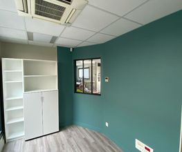 DLB Peinture image 1