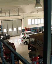 Gallery Cliente