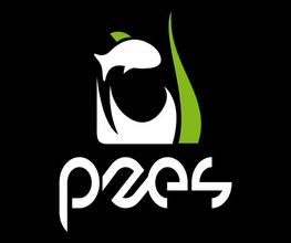 pzes-02-g.jpg