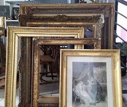 Maltese image 2