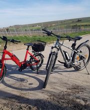 mp2radshop Bild 3