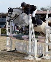 Club équestre St Julien image 7