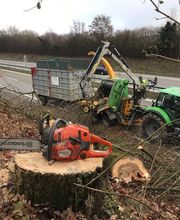 GLT Haldimann AG Bild 3