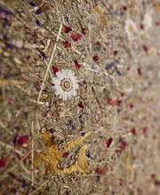 Hörakustik Vollbach Bild 4