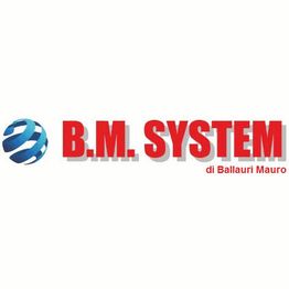 B.M. System logo