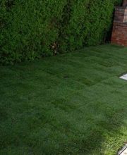 Gartenlandschaftsbau B. Gugel Bild 4