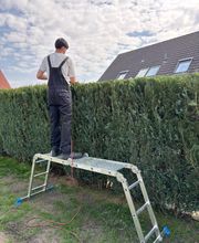 Garten- und Hausmeisterservice Joel Dehmelt