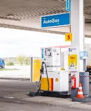 Shell Bild 7