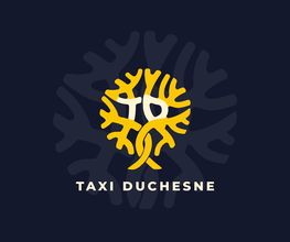 Taxi Duchesne image 3