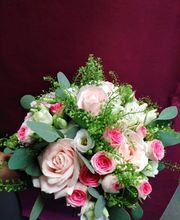 Terre De Couleurs image 5