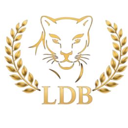 LDB PRIVATE INVESTIGATIONS