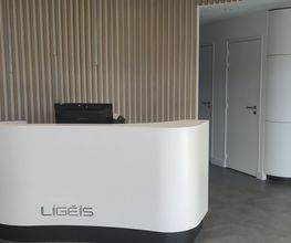 LIGEIS image 4