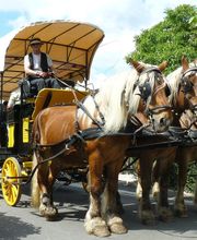 Auberge de l'Avaloir Les Attelages Comtois image 3