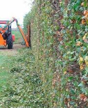 Lemaitre Antoine image 2