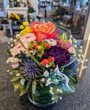 Budberger Blümchen Bild 12