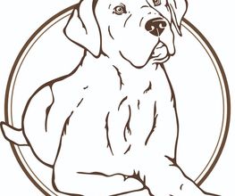 KnowWau Mobile Hundeschule Bild 5