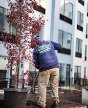 Landscape Solutions image 13