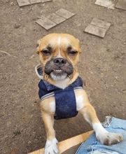 Martin Hofmann Bild 19