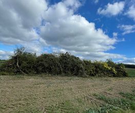 ad26956e-141a-47fc-83c6-bce9e0ba2ad1.jpeg