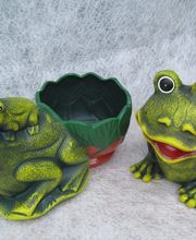 Viveiros Adoa, S.L. (Tameiga) imagen 9