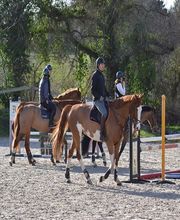 Ecuries De Saint Lunaire image 3