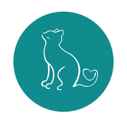 Mélanie Berquet Comportementaliste Félin