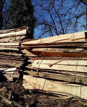 Scierie Carles image 6