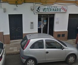 clinica-veterinaria-jara-fachada-01.jpg